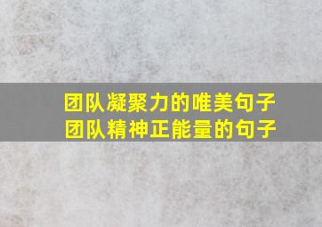 团队凝聚力的唯美句子 团队精神正能量的句子